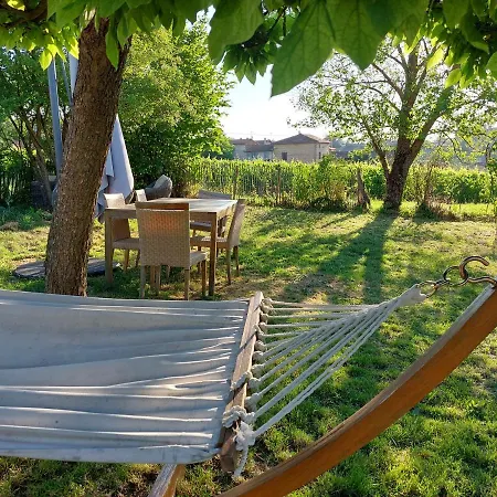Songes De Vigne * Bagnols (Rhone)